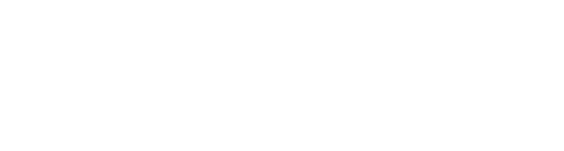 Dan Overholt